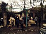 Qurban bayramı 2014