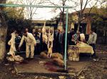 Qurban bayramı 2014