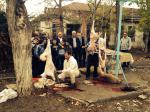 Qurban bayramı 2014