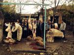 Qurban bayramı 2014